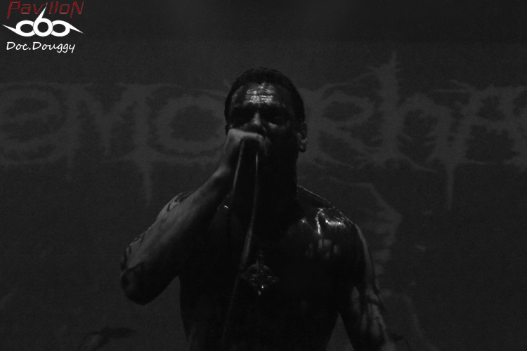 Pavillon 666 webzine