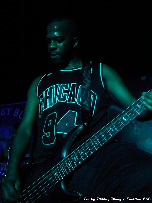 Pavillon 666 webzine