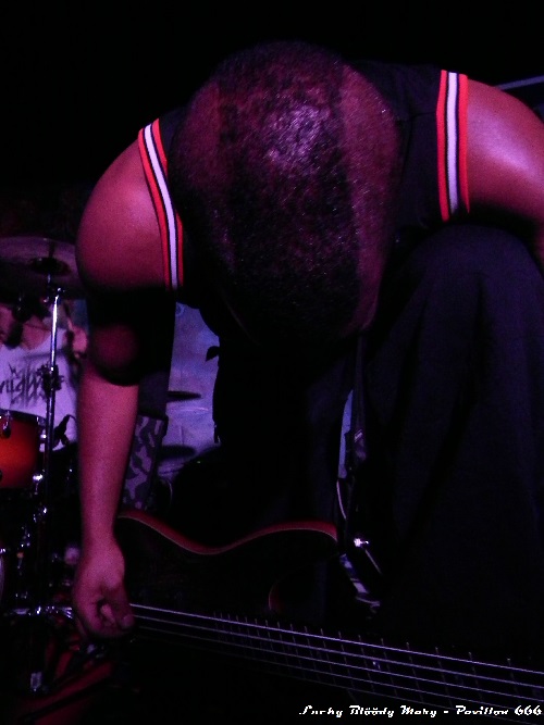 Pavillon 666 webzine