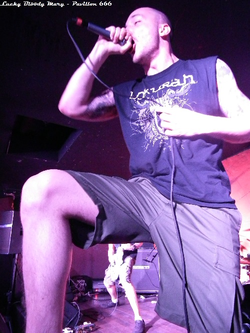 Pavillon 666 webzine