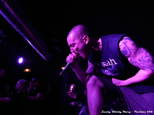 Pavillon 666 webzine