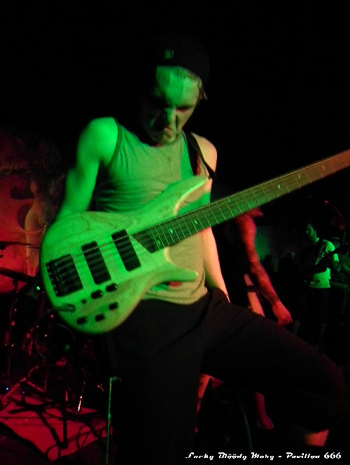 Pavillon 666 webzine