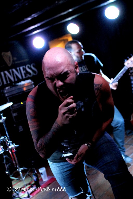 Pavillon 666 webzine