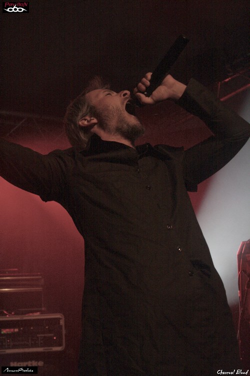 Pavillon 666 webzine