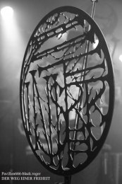 01.04.19_derwegeinerfreheit08