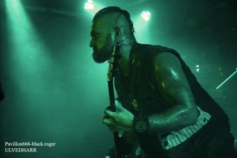 13.09.18_ulvedharr05