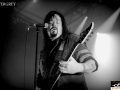9-EVERGREY