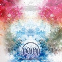 Chronique NAMI - Fragile Alignments