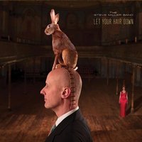 Chronique THE STEVE MILLER BAND - Let Your Hair Down