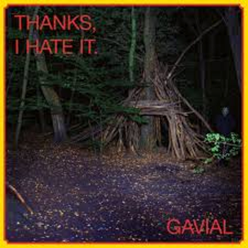 Chronique GAVIAL - Thanks, I Hate It