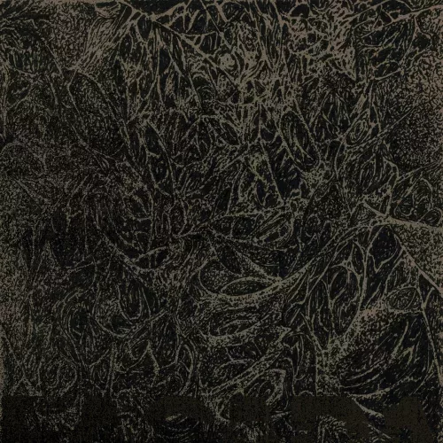 Pochette FACADA - Truculence