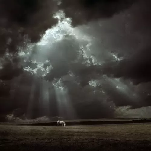 Pochette MAX ENIX - Beauty in darkness