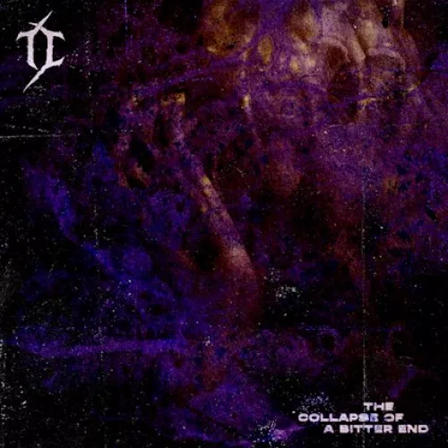 Pochette THE CARTOGRAPHER - The collapse of a bitter end