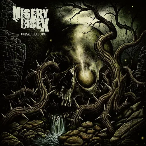 MISERY INDEX
