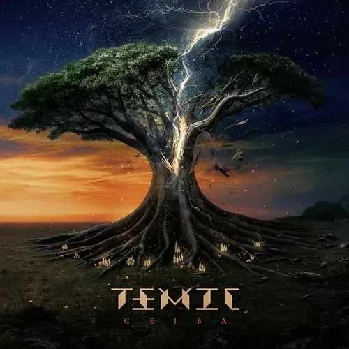 TEMIC