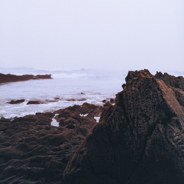 COLTAINE - Nouvel album 'Brandung' en septembre