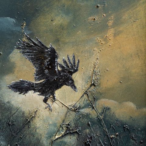 EXIL - From Amalty to Lille...