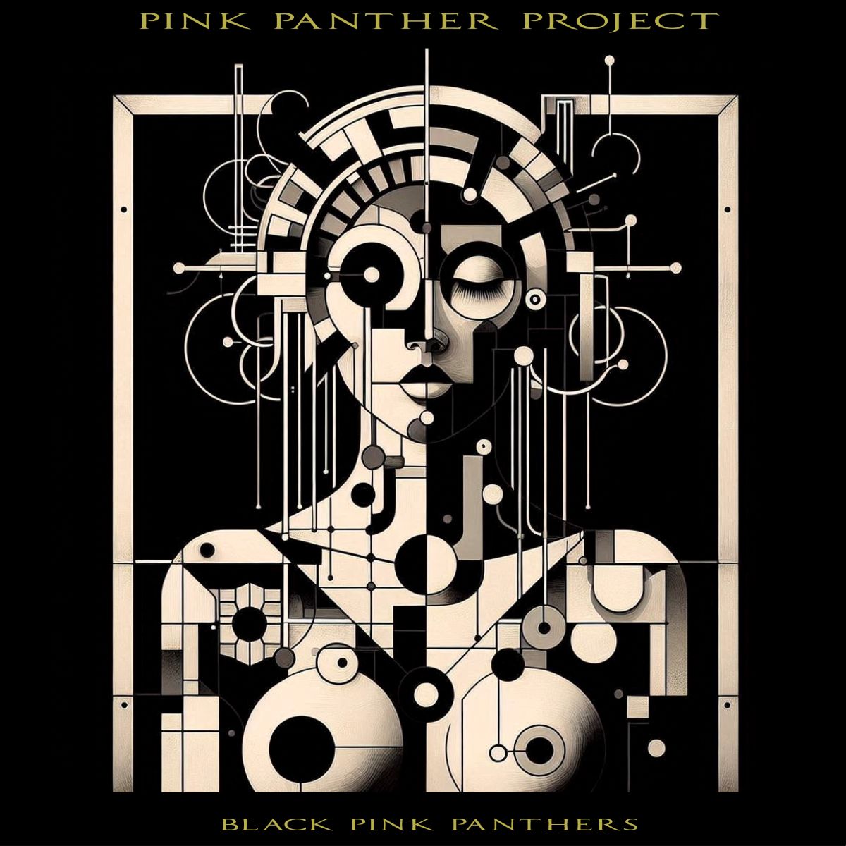 PINK PANTHER PROJECT - Nouveau single "Black Pink Panther"
