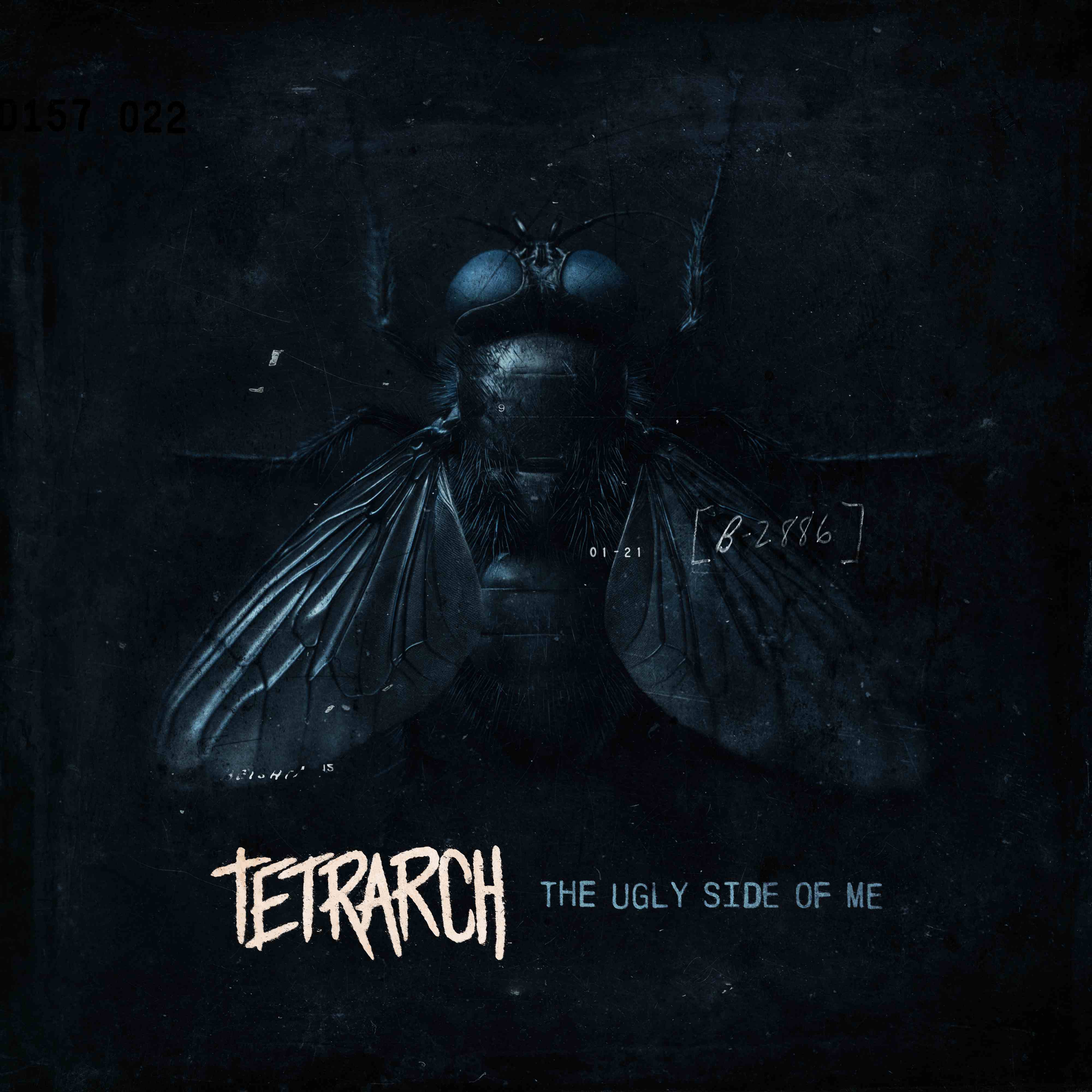 TETRARCH - Son nouveau single "Best Of Luck"