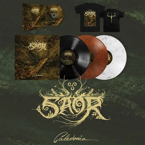 Saor