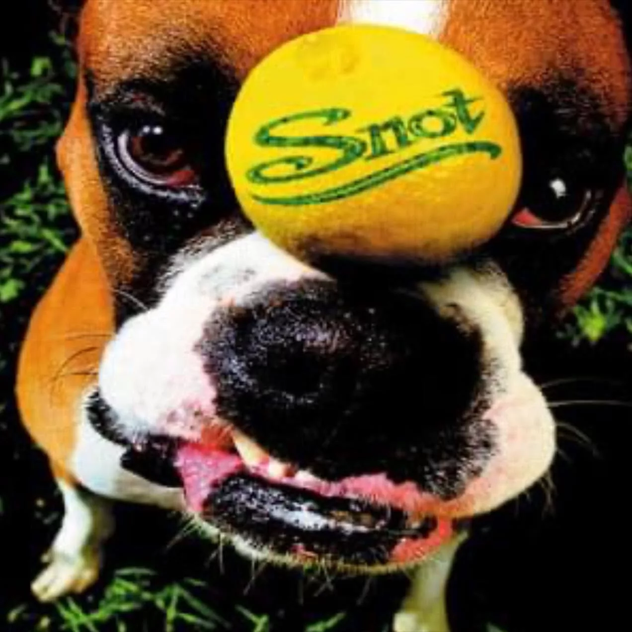 SNOT