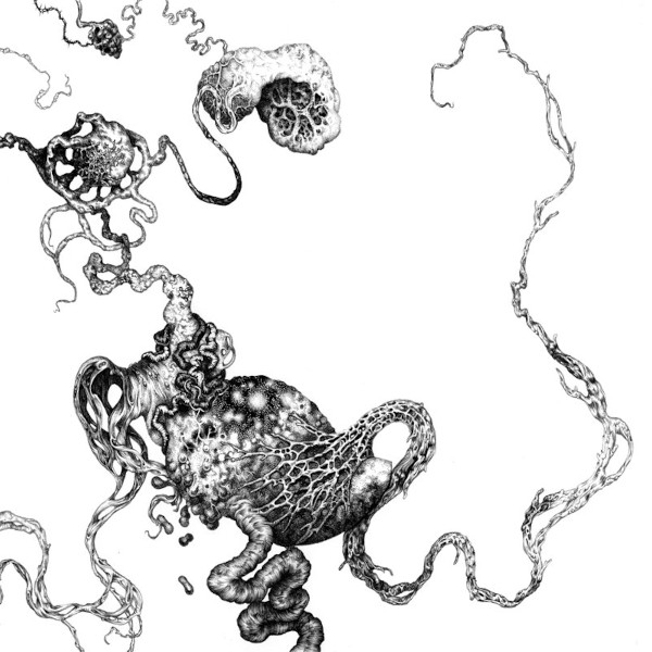 BARÃšS - Annonce du nouvel EP 