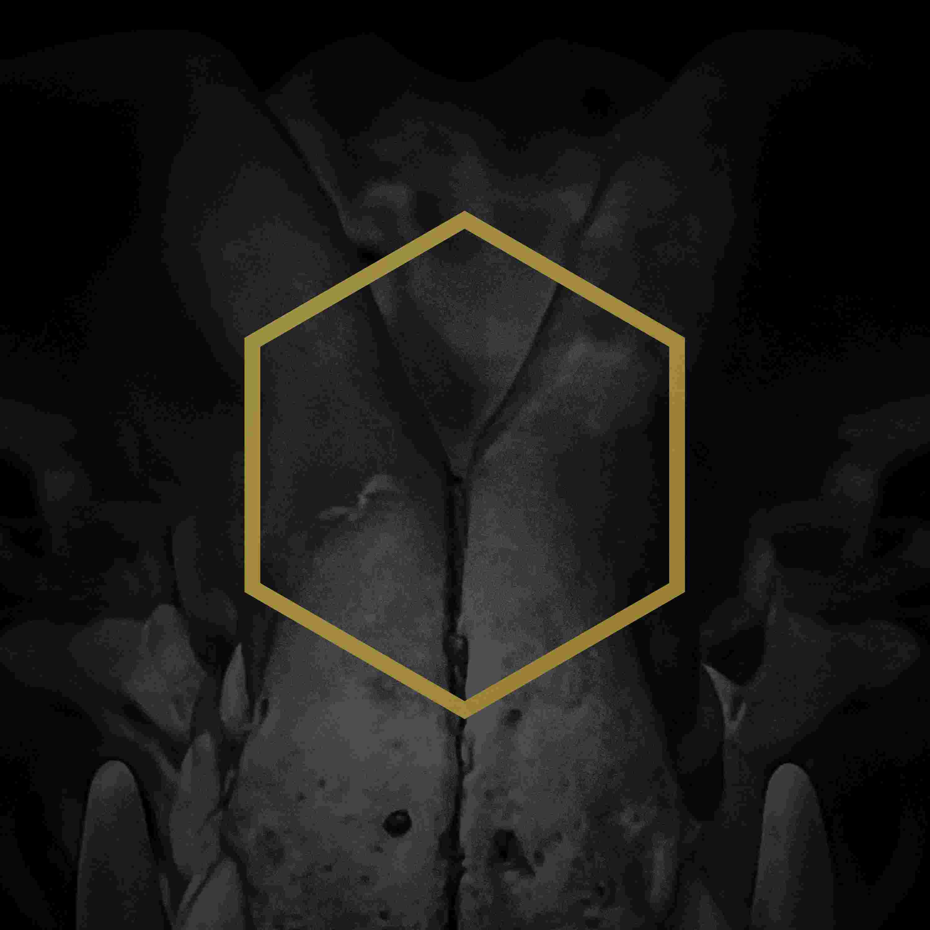 LUSTMORD & GODFLESH - Vidéo "Ashen"