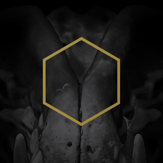 LUSTMORD & THE OCEAN - Vidéo "Primal" [State of Being]