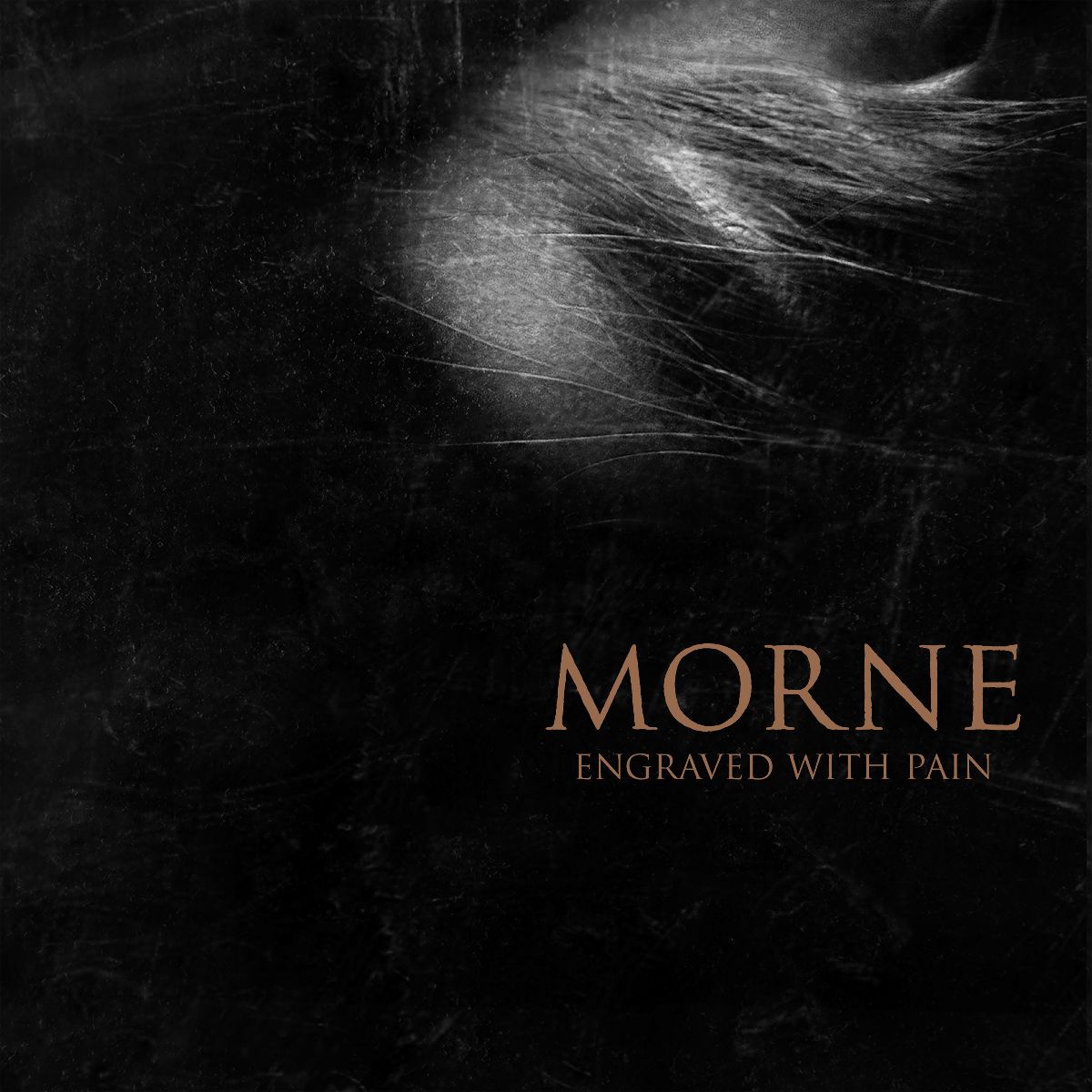 MORNE - Les détails du nouvel album, Engraved With Pain !