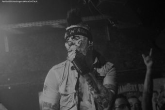 02.11.19_bananemetalik14