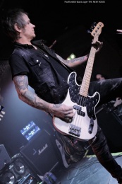 06.02.20_thenewroses02