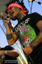 08.06.19_shitforbrains09