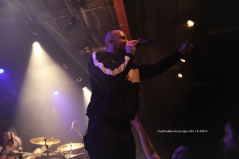 12.12.19_veilofmaya01