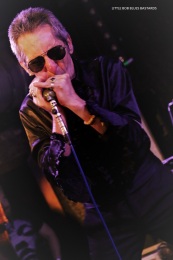 17.08.19_littlebobbluesbastards04