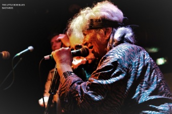 17.08.19_littlebobbluesbastards05