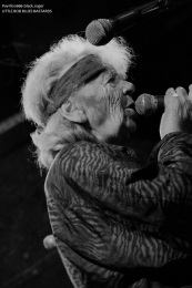 17.08.19_littlebobbluesbastards09