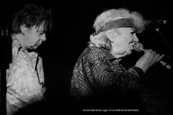 17.08.19_littlebobbluesbastards10