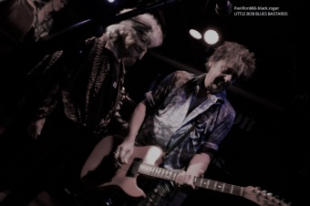 17.08.19_littlebobbluesbastards15