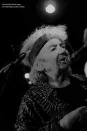 17.08.19_littlebobbluesbastards17