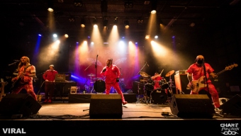 2019.11.26-VIRAL-CCO-29