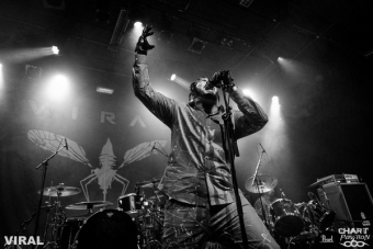 2019.11.26-VIRAL-CCO-36