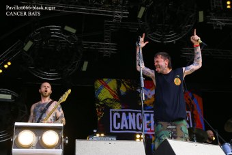 23.06.19_cancerbats03