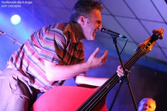 051013_hotchickens01