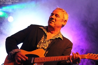 051013_hotchickens04