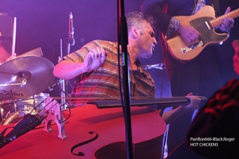 051013_hotchickens05