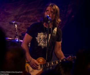 06.05.2018-deaddaisies01