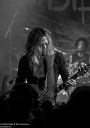 06.05.2018-deaddaisies06