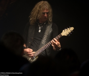 06.05.2018-deaddaisies07