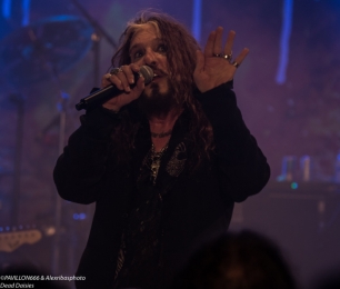 06.05.2018-deaddaisies12