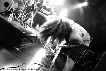 07.07.18_deadkiwis03